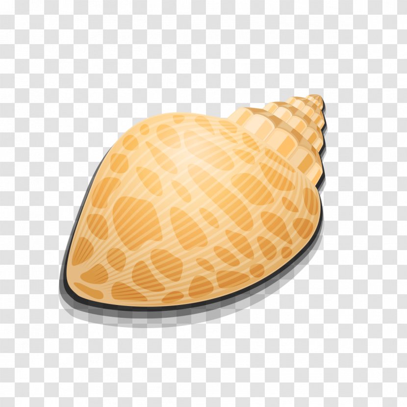 Cartoon - Wafer - Snail Transparent PNG