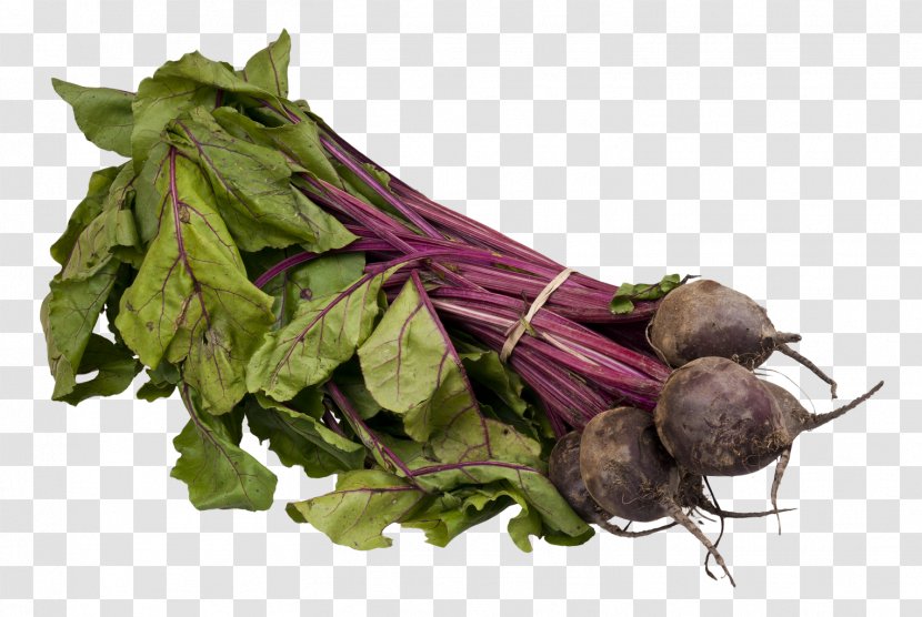 Beetroot Icon - Food - Beet Transparent PNG