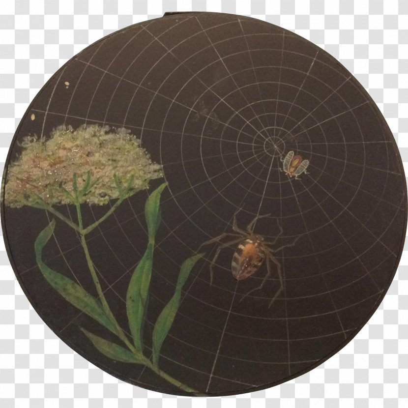 Spider Web Invertebrate Circle - Hand-painted Delicate Lace Transparent PNG