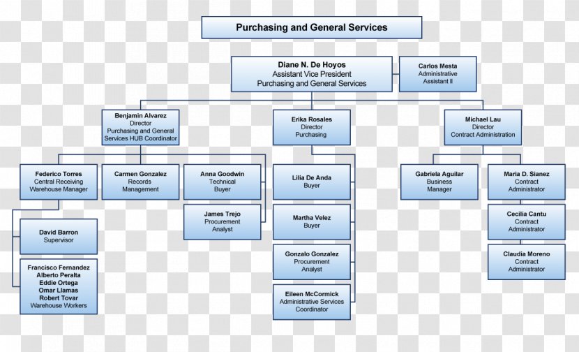 Flowchart Organizational Chart Structure Diagram - Technology - Logistics Staff Transparent PNG