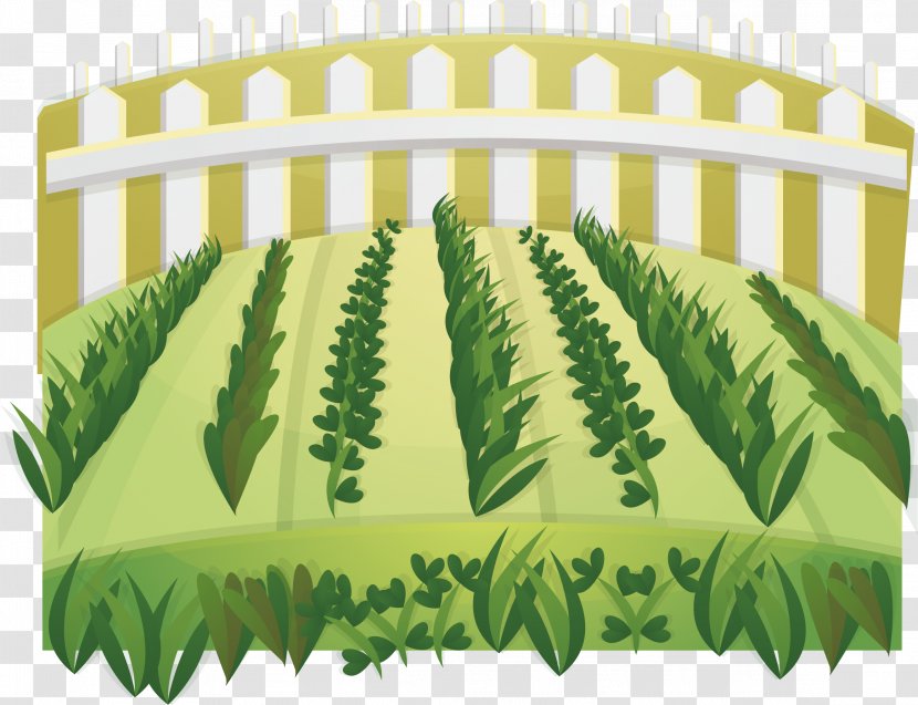 Euclidean Vector Crop - Green - Field Transparent PNG