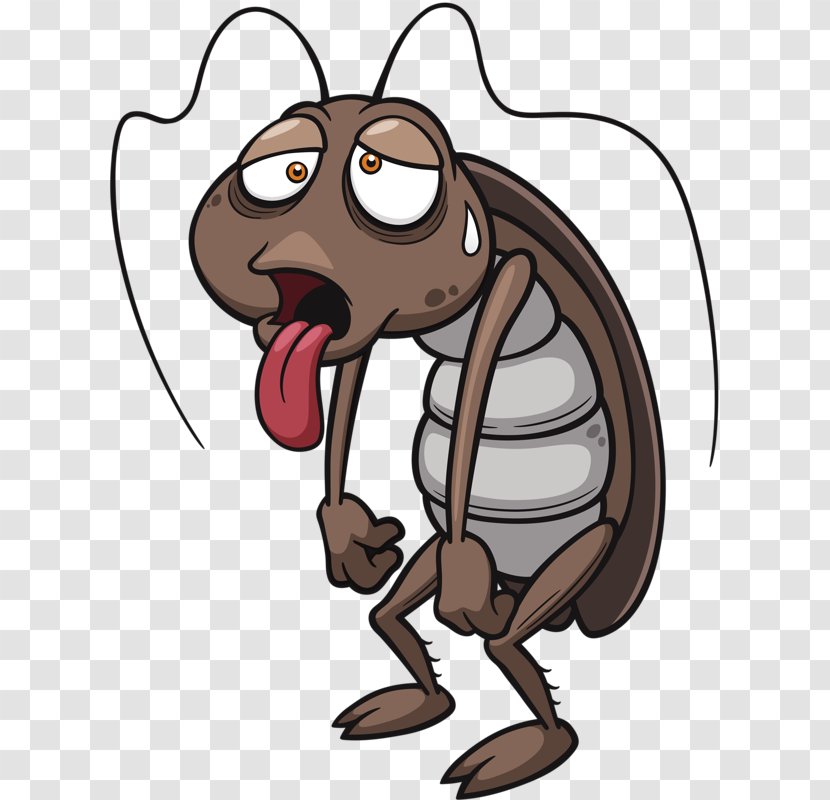 Cockroach Cartoon Stock Photography Clip Art Transparent PNG