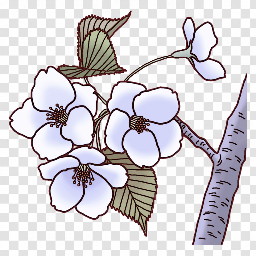 Floral Design Transparent PNG