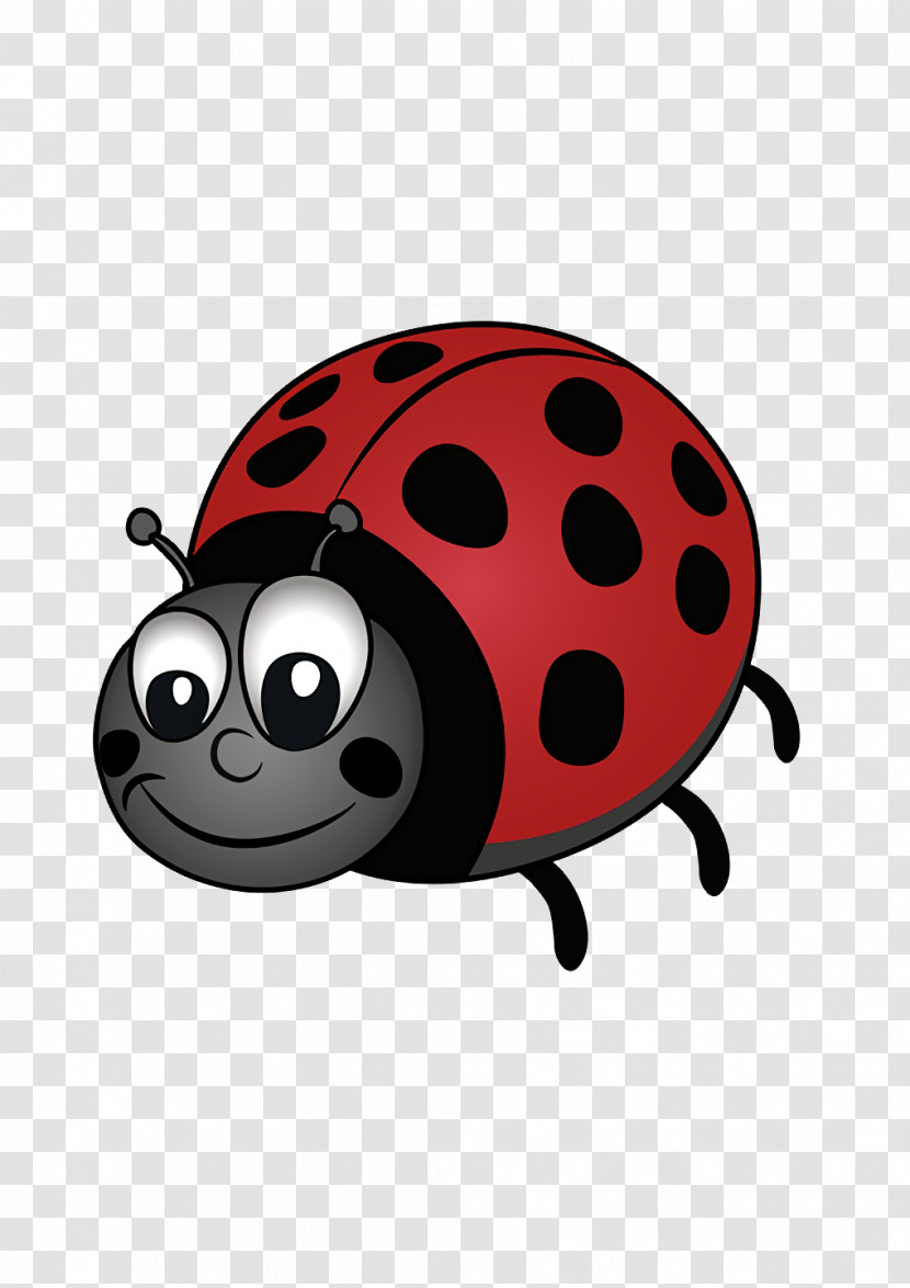 Cartoon Beetles Biology Science Transparent PNG