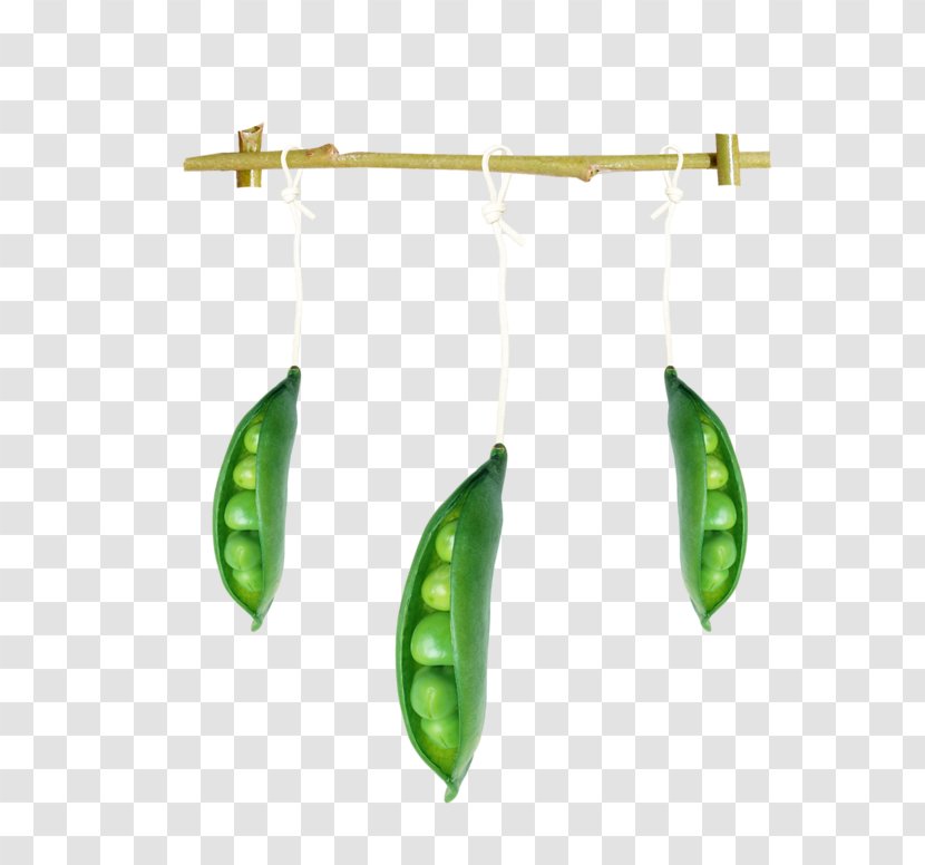 Angels Pea Frutti Di Bosco - Pisum - Dangle Peas Transparent PNG