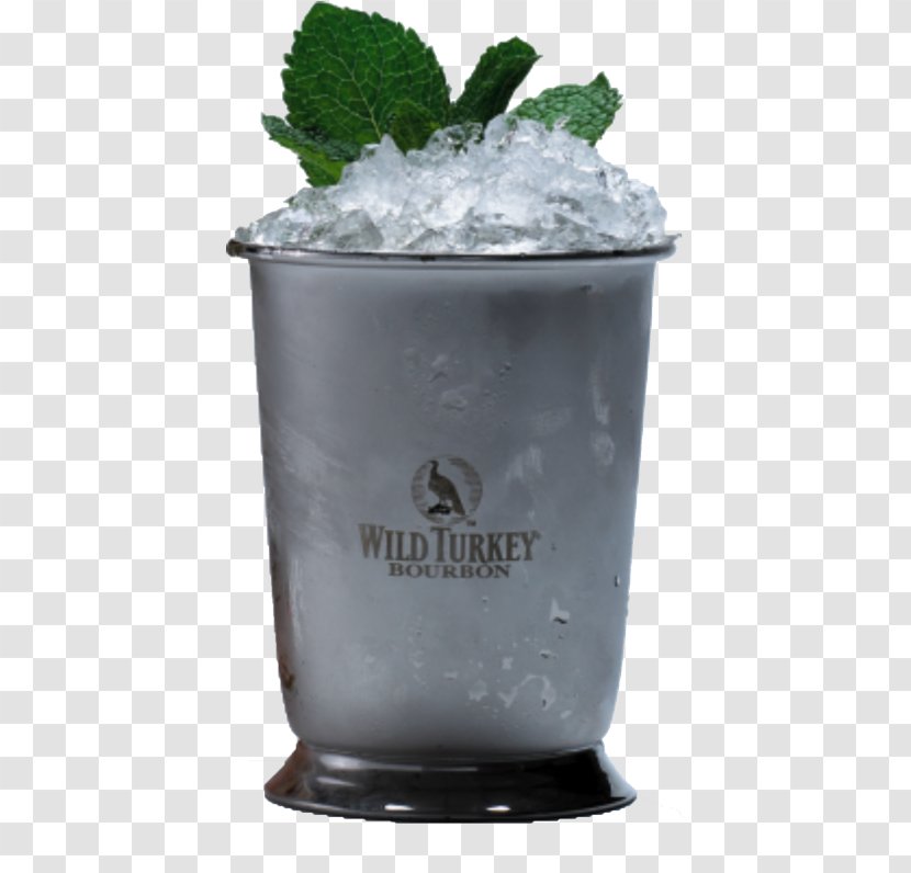 Mint Julep Wild Turkey Distillery Bourbon Whiskey Non-alcoholic Drink - Campari Aperitif Drinks Transparent PNG