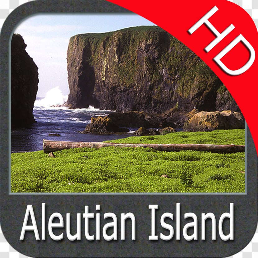 Alaska Water Resources Lawn - Grass Transparent PNG