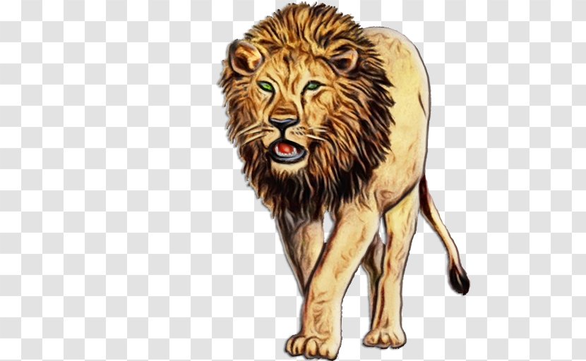 Lion Wildlife Big Cats Animal Figure Roar - Paint - Terrestrial Masai Transparent PNG