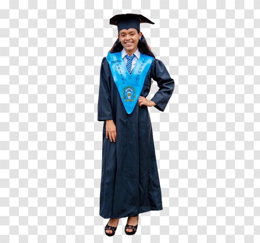 Robe Academician Doctor Of Philosophy Graduation Ceremony - Sleeve Transparent PNG