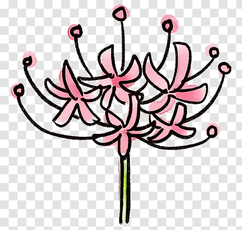 Pink Plant Flower Leaf Pedicel Transparent PNG