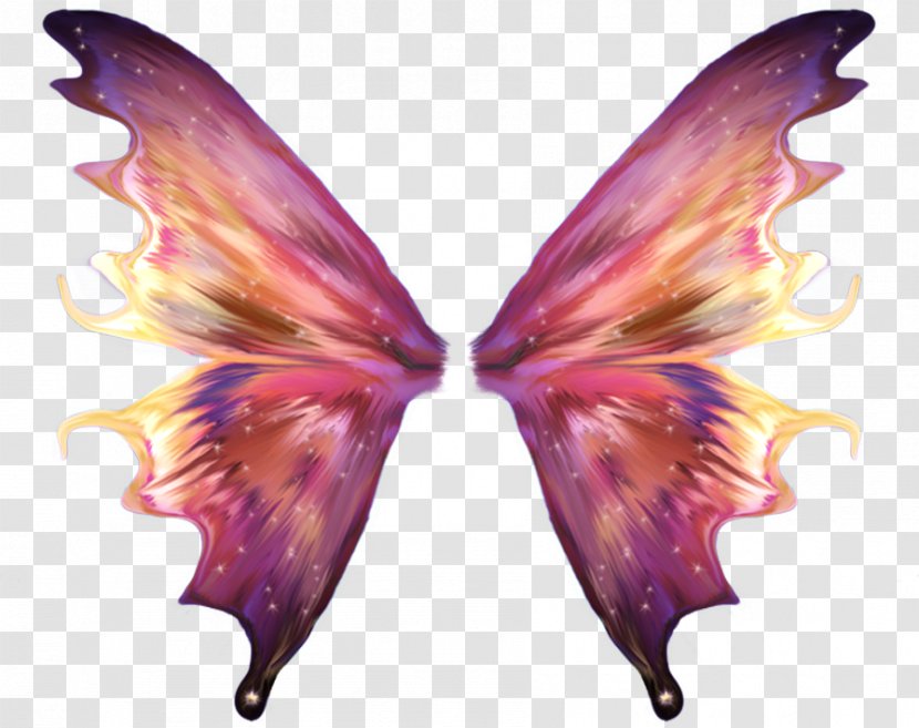 Tinker Bell Fairy - Moth - Fada Do Dente Transparent PNG