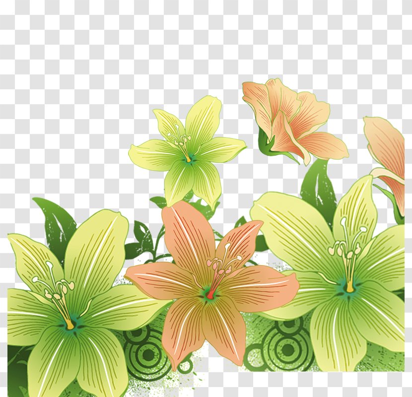 Floral Design Flower Poster - Creative Transparent PNG