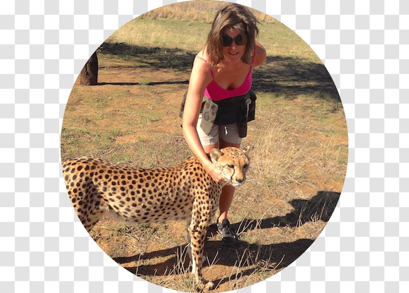 Cheetah Bali - Publishing - Zen Traveller: A Quick Guide Influencer Fast Track: From Zero To In The Next 6 Months! 10X Your Marketing And Branding For Coaches, Consultants, Professionals Entrepreneurs BookCheetah Transparent PNG