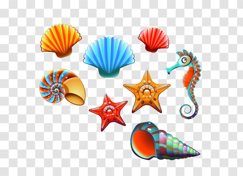 Vector Graphics Seashell Stock Photography Clip Art Illustration - Drawing - Hippocampus Transparent PNG