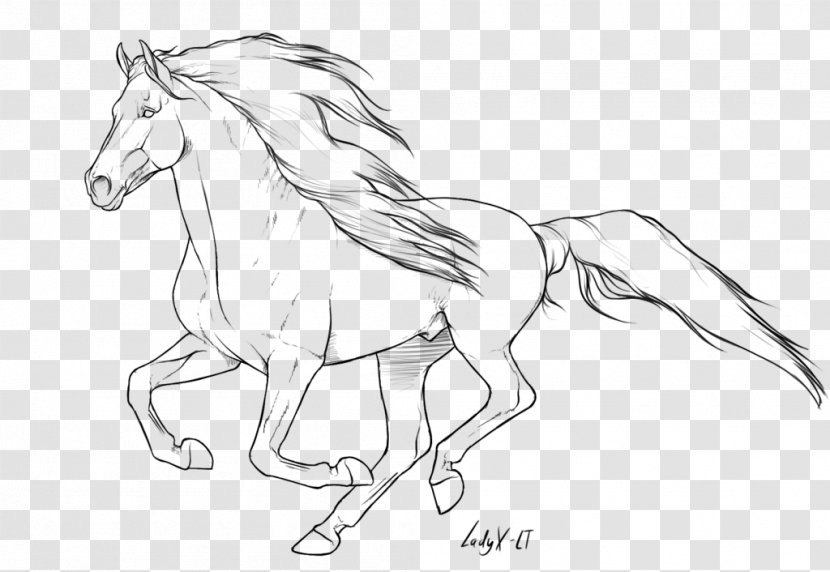 Arabian Horse American Quarter Mane Mustang Pony - Line Art Transparent PNG