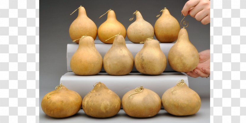 Gourd Art Calabash Shallot Food - Seed Transparent PNG