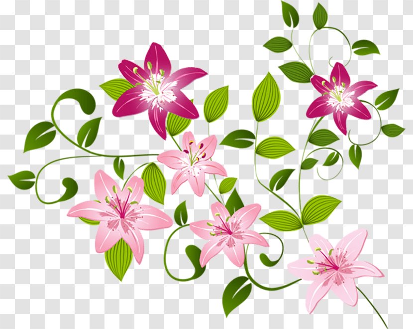 Floral Ornament Clip Art - Design - Floristry Transparent PNG