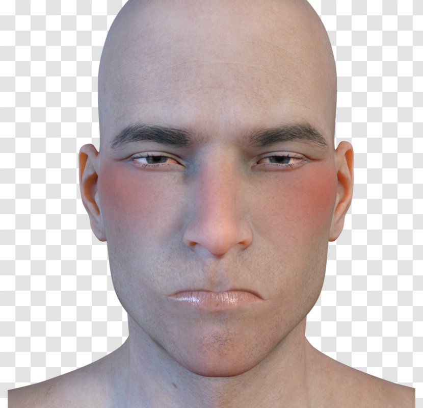 Nose Cheek Eyebrow Jaw Chin - Human Transparent PNG