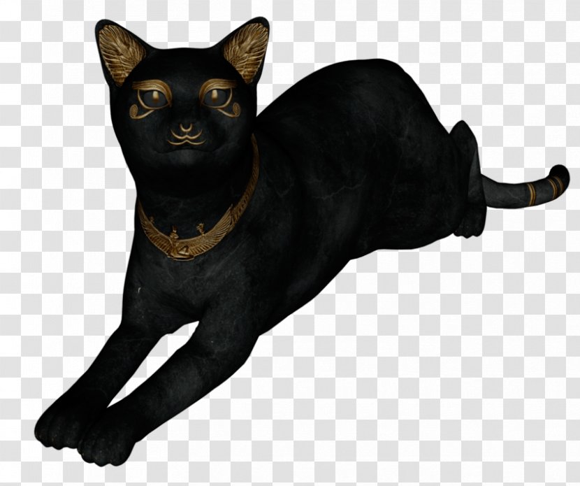 Black Cat Bombay Malayan Havana Brown Egyptian Mau - Kitten Transparent PNG