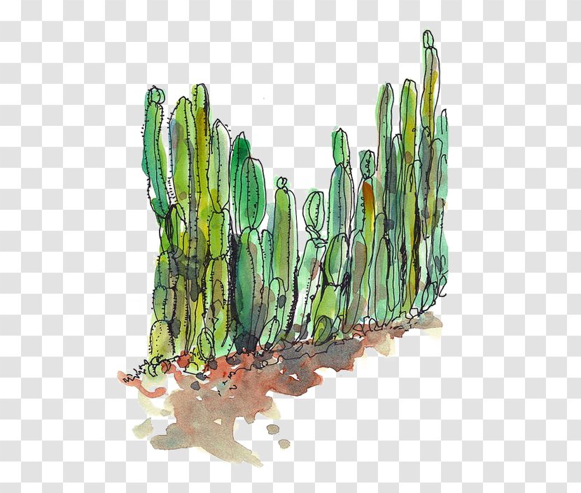 Cactaceae Desert Succulent Plant Cactus Fence Transparent PNG