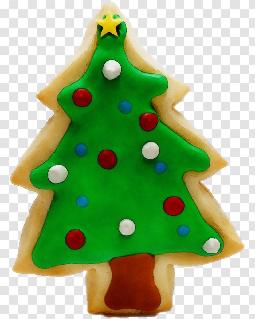 Christmas Tree - Conifer - Pine Transparent PNG