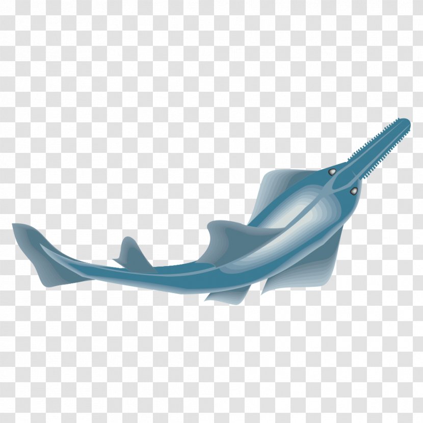 Shark Fish Clip Art - Turquoise Transparent PNG