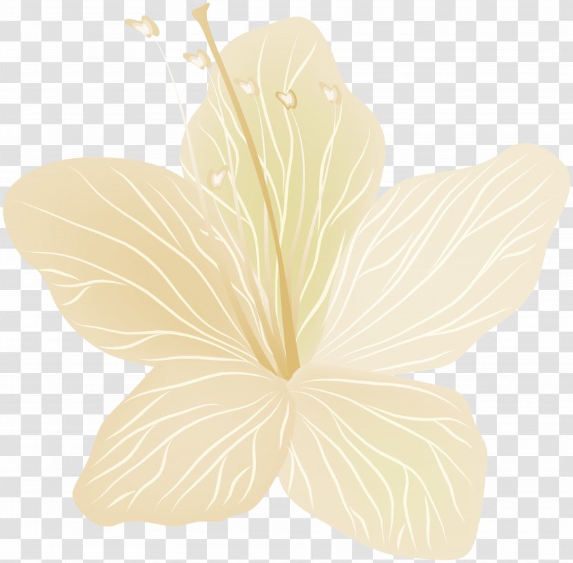 Petal Leaf - Plant - Flower Transparent Clip Art Image Transparent PNG