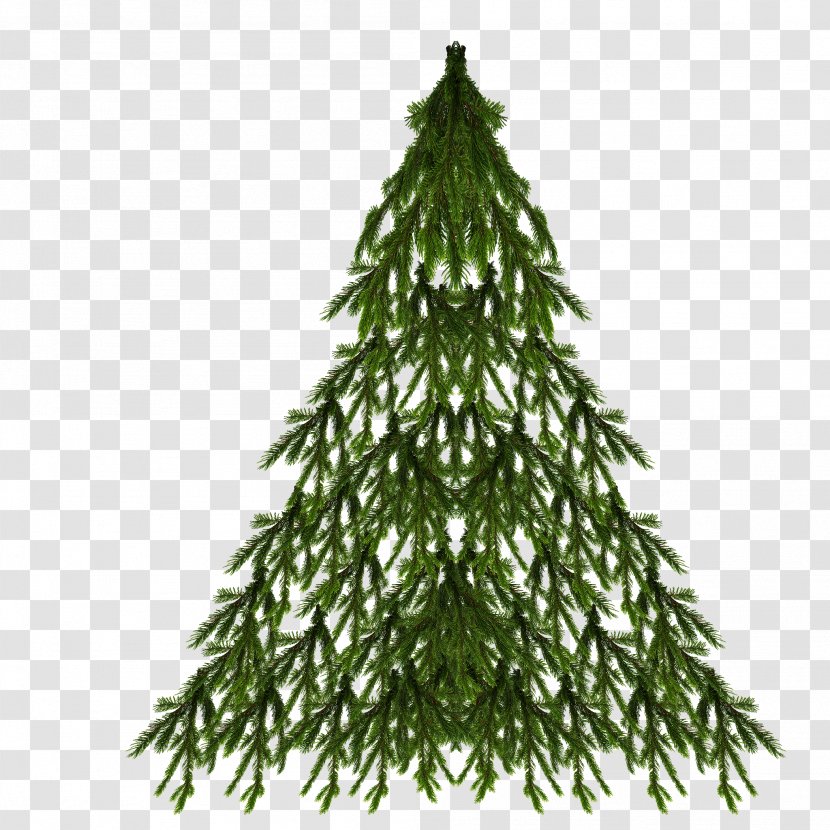 Spruce Christmas Tree New Year Day - Woody Plant Transparent PNG