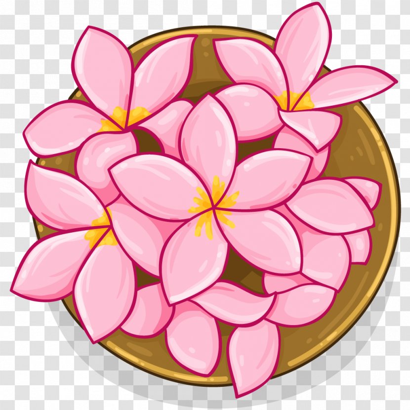 Photography Instagram Flower Cosmetics - Flowering Plant - Frangipani Transparent PNG