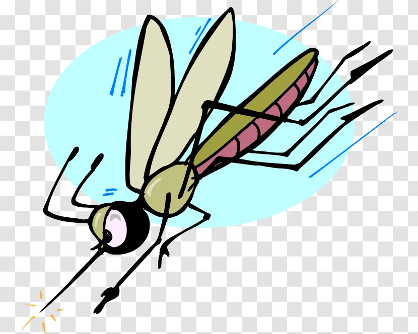 The Mosquito Insect Repellent Clip Art - Attack Transparent PNG