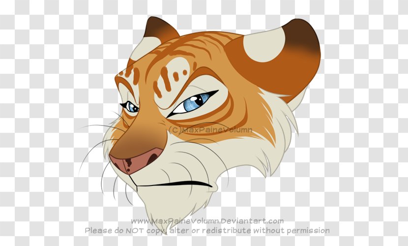 Whiskers Tiger Lion Cat Illustration - Big Cats Transparent PNG
