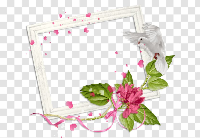 MIT BBS Picture Frames Message Love - Flower - Petal Transparent PNG