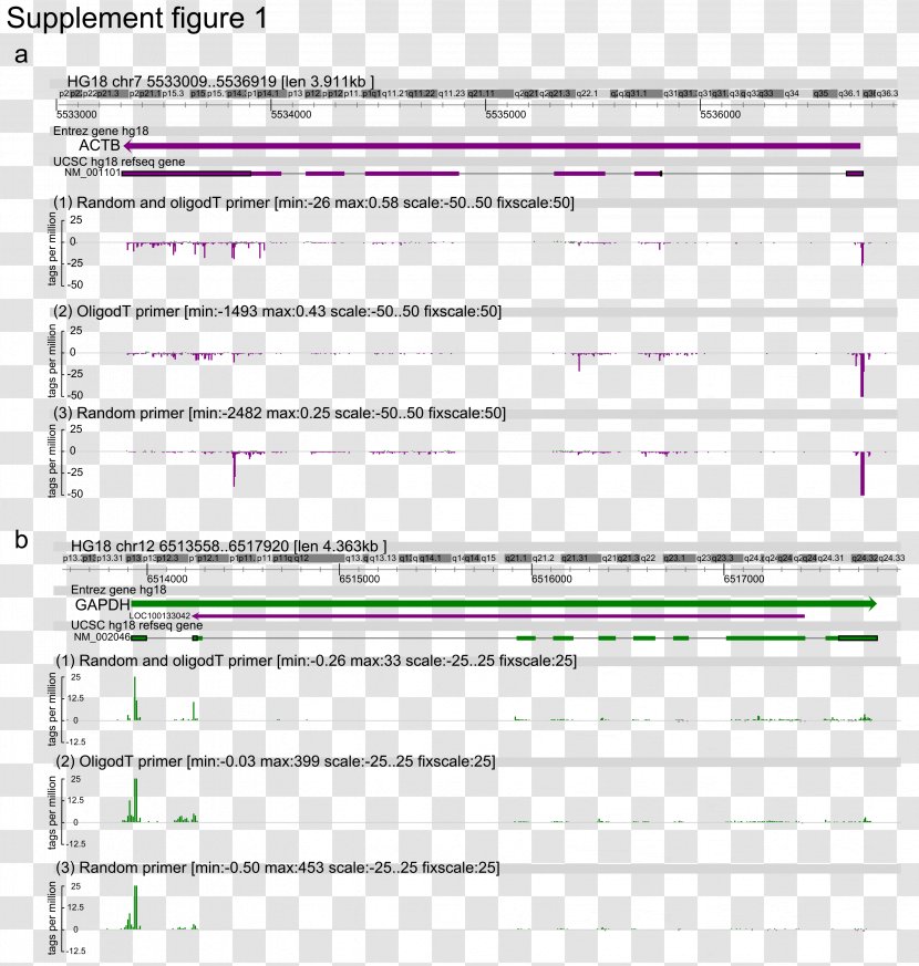 Complementary DNA Five Prime Untranslated Region Cap Analysis Gene Expression CDNA Library Sequencing - Frame - Times Journal Transparent PNG