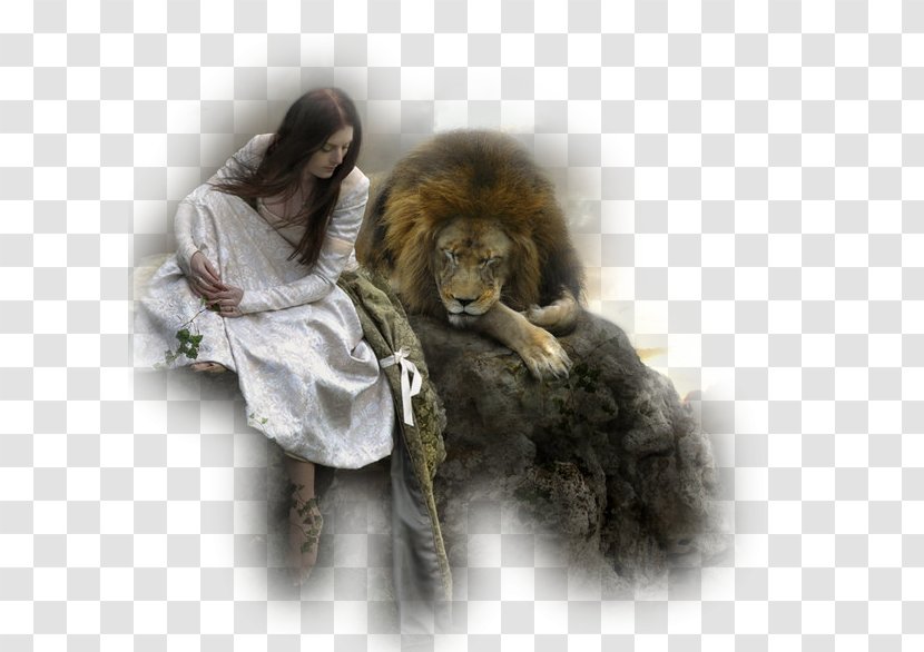 Lion Of Judah Bride Christ Tribe - Prophet Transparent PNG