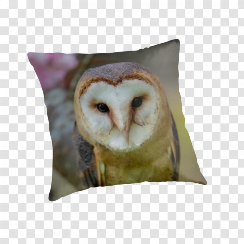 Owl Throw Pillows Cushion Snout - Barn Transparent PNG