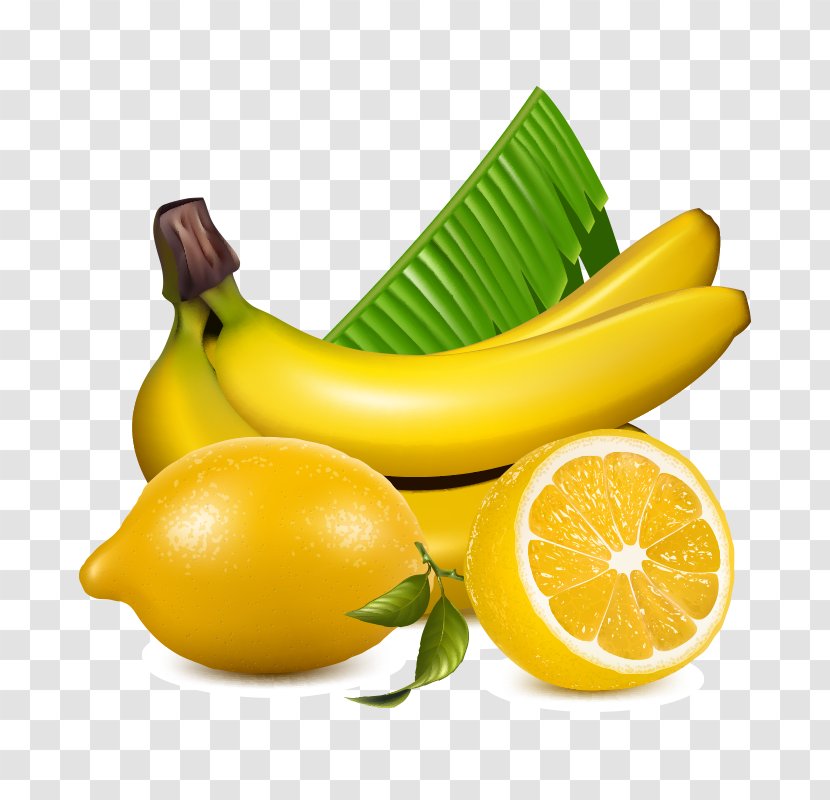 Lemon Vector Graphics Stock Photography Fruit Illustration - Banana Family - Can Transparent PNG