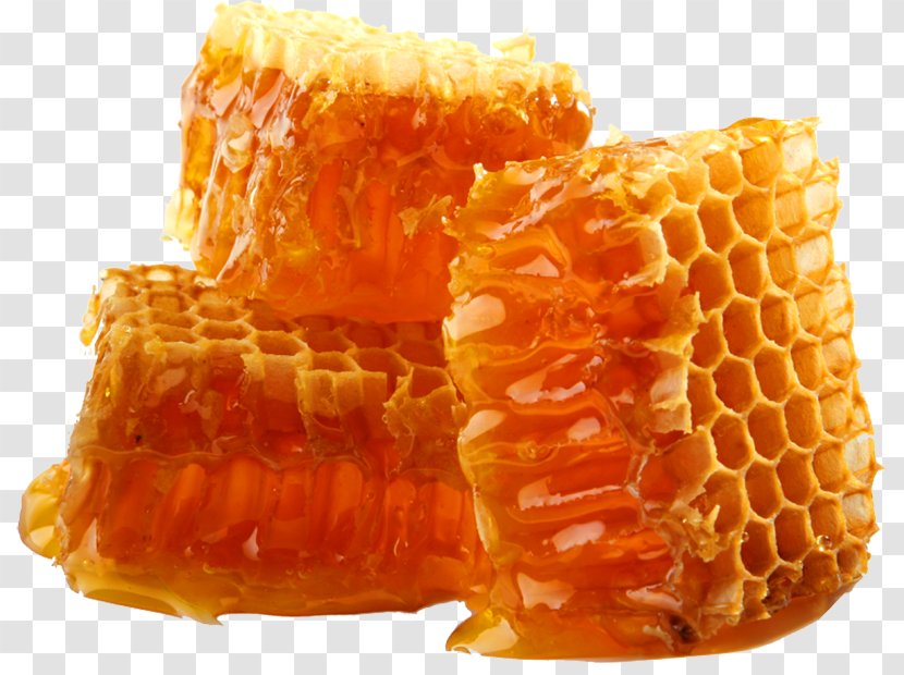 Honey Bee Beeswax Honeycomb - Junk Food Transparent PNG