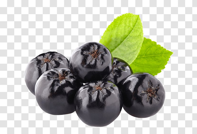 Blueberry Chokeberry Bilberry Stock Photography - Food Transparent PNG