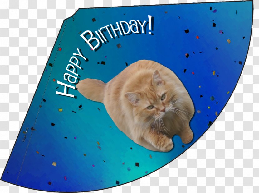 Whiskers Confetti Kitten Birthday Party - Organism - Cat In The Hat Transparent PNG