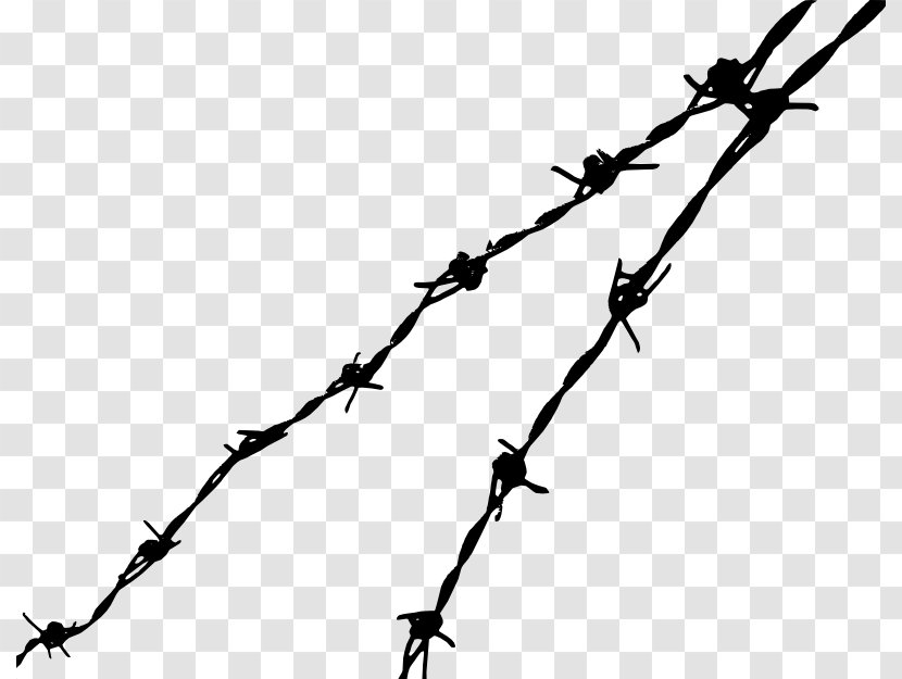Barbed Wire Tape Clip Art - Twig - Cartoon Fence Images Transparent PNG