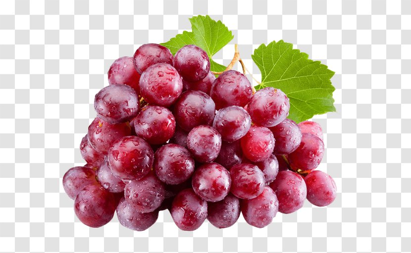 Common Grape Vine Red Wine Globe Juice - Table - Local Food Transparent PNG