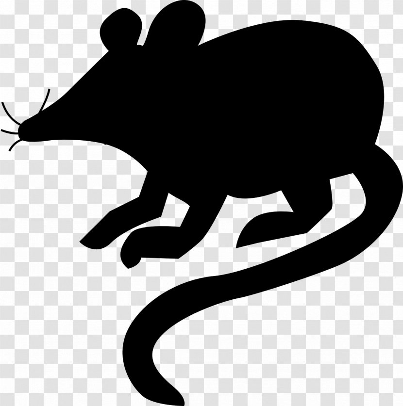 Rat Clip Art - Fauna - Tooth Fairy Transparent PNG