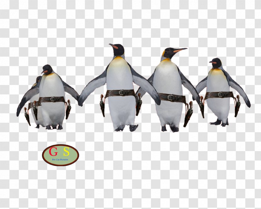 Penguin Humour - Page Transparent PNG
