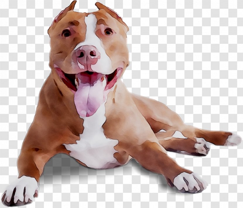 Dog Breed American Pit Bull Terrier Bulldog - Staffordshire Transparent PNG