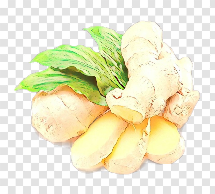 Food Vegetable Ginger Ingredient Plant - Herb Root Transparent PNG