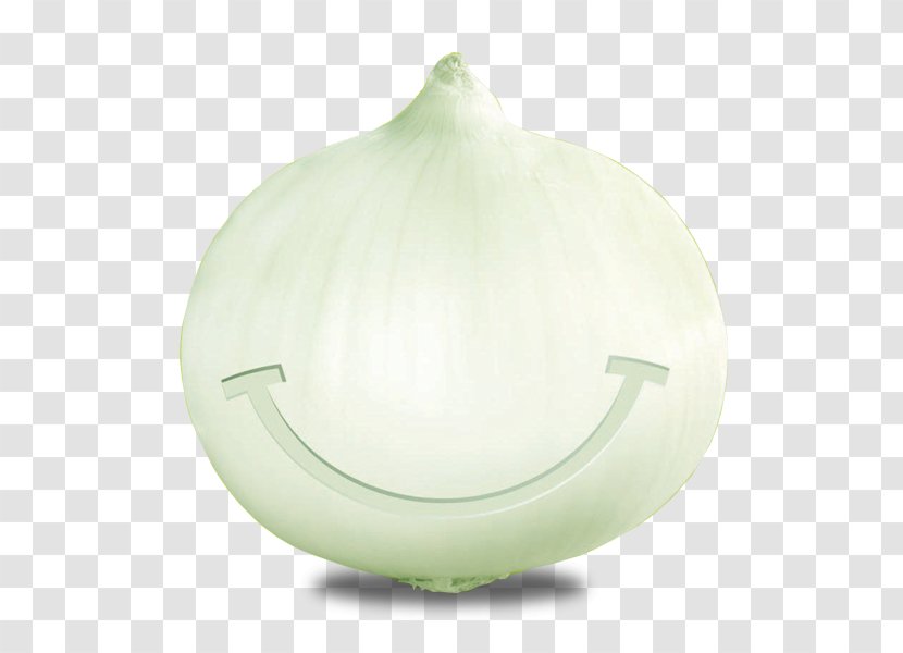 Product Design Vegetable - Cebolla Transparent PNG