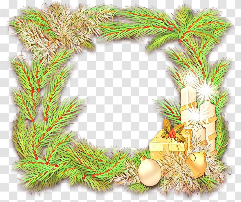 Christmas Decoration - Pine - Colorado Spruce Family Transparent PNG