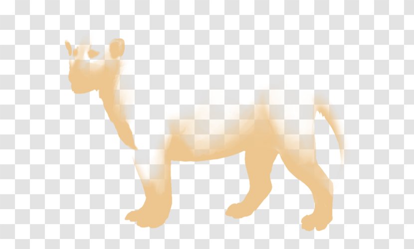Lion Dog Cat Snout Mammal - Small To Medium Sized Cats Transparent PNG