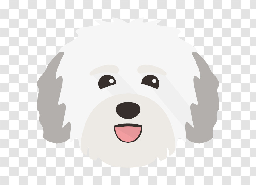 Puppy Glen Havanese Dog Terrier Breed Transparent PNG