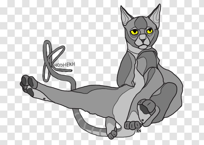 Whiskers Kitten Cat Dog Clip Art - Wing Transparent PNG